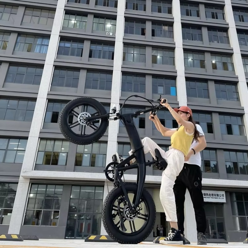 Bicicleta Plegable de Montaña  - Cycling Gear Cheap reseña y precio